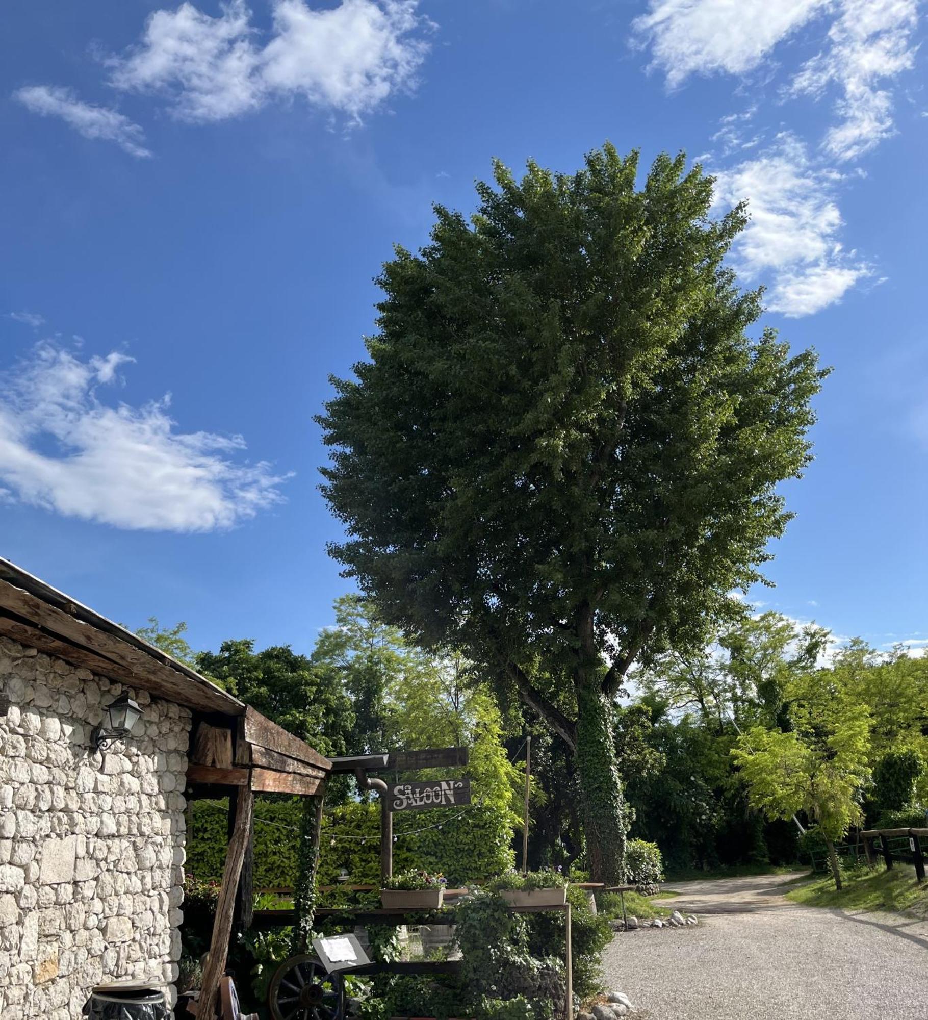 Agriturismo Al Ranch Castello dʼAviano Kültér fotó