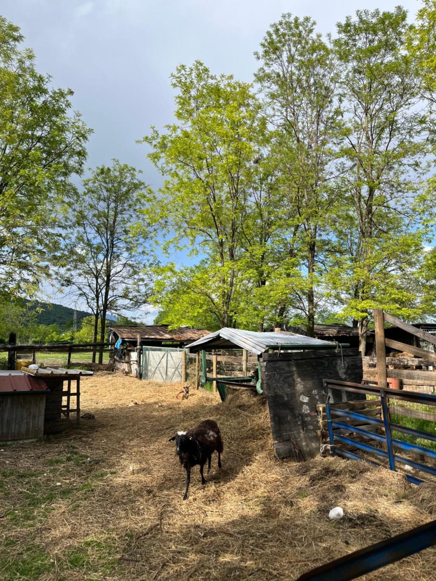 Agriturismo Al Ranch Castello dʼAviano Kültér fotó