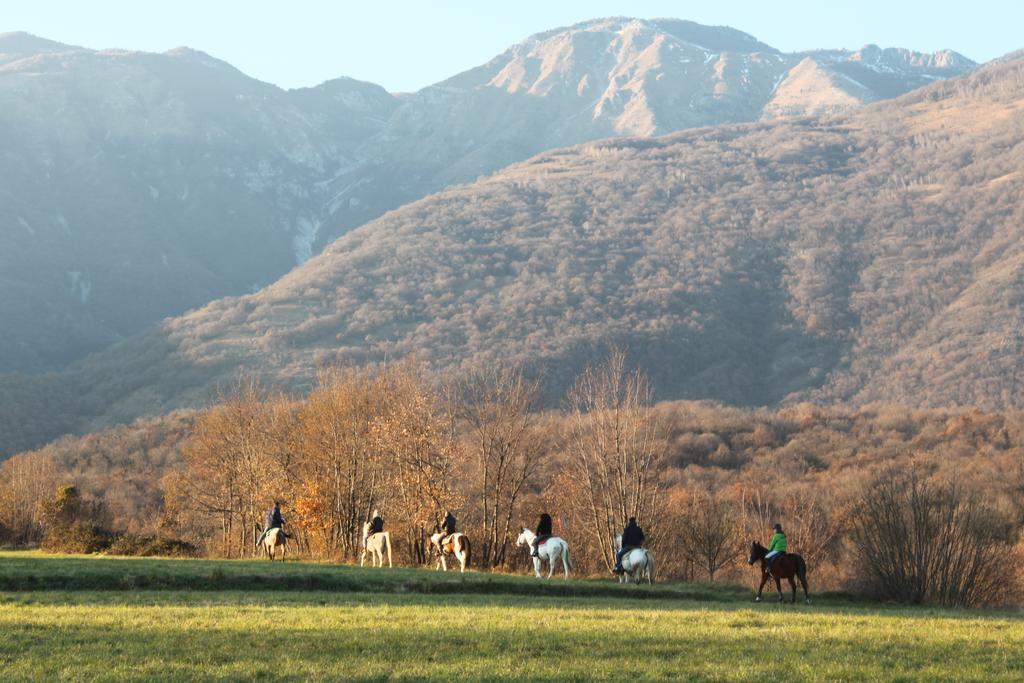 Agriturismo Al Ranch Castello dʼAviano Kültér fotó